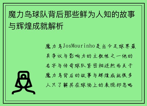 魔力鸟球队背后那些鲜为人知的故事与辉煌成就解析
